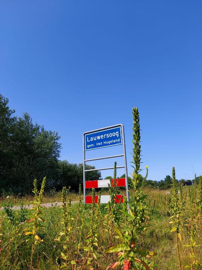 Luxe Chalet Lauwersoog Exterior foto